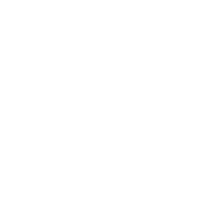 DT AI FILE FINAL White